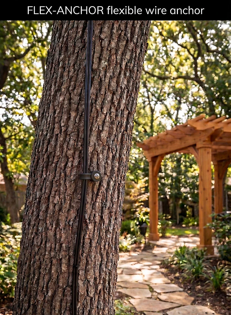 TreeTite installed on a tree