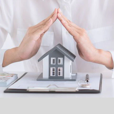 House sitting and basic property management